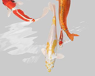 微软Xbox Live金会员2021年7月会免游戏公布